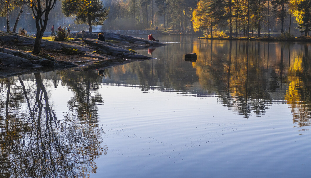 Sognsvann i Nordmarka i Oslo er et populært utfartssted det meste av døgnets timer. Sognsvann i Nordmarka i Oslo er et populært utfartssted det meste av døgnets timer.