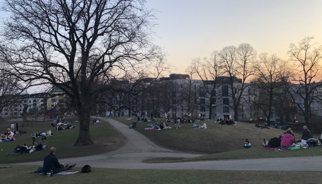 Mild og fin vårkveld i Stensparken. Folk lot ikke sjansen gå fra seg. Mild og fin vårkveld i Stensparken. Folk lot ikke sjansen gå fra seg.