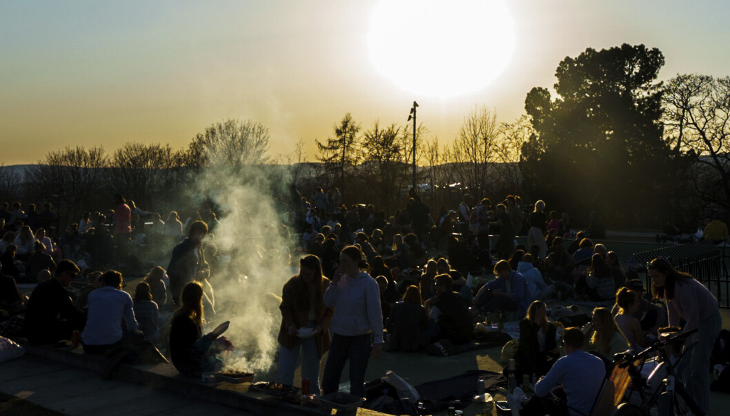 Bildet er fra St. Hanshaugen lørdag kveld for en uke siden. Natt til søndag denne helgen var det trolig enda flere på fest i parken. Bildet er fra St. Hanshaugen lørdag kveld for en uke siden. Natt til søndag denne helgen var det trolig enda flere på fest i parken.