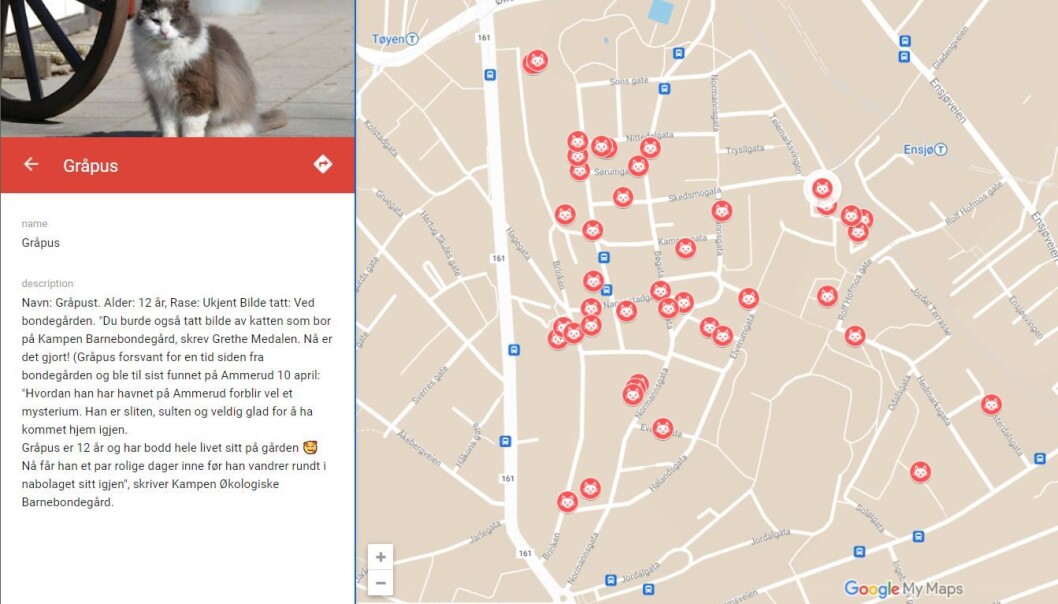 Slik blir selveste Gråpus fra Bondegården presentert på Kattekartet Slik blir selveste Gråpus fra Bondegården presentert på Kattekartet