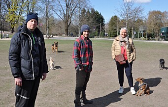 Hundejordet i Frognerparken må vike for Fornebubanen: - Her har jeg luftet hunder i 28 år, sier Kirsti