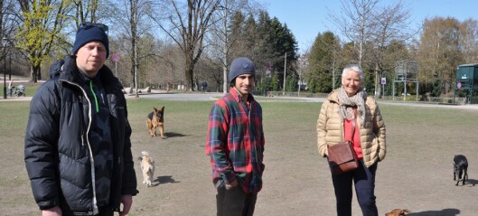 Hundejordet i Frognerparken må vike for Fornebubanen: - Her har jeg luftet hunder i 28 år, sier Kirsti Hundejordet i Frognerparken må vike for Fornebubanen: - Her har jeg luftet hunder i 28 år, sier Kirsti