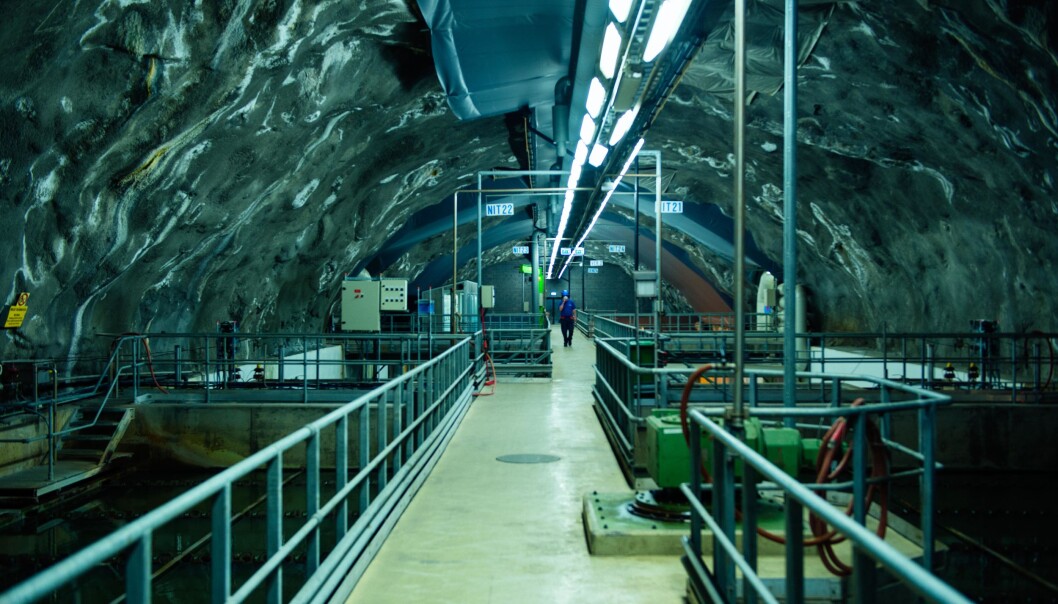 Fra denne fjellhallen lakk det 18 millioner liter kloakk ut i Indre Oslofjord. Fra denne fjellhallen lakk det 18 millioner liter kloakk ut i Indre Oslofjord.