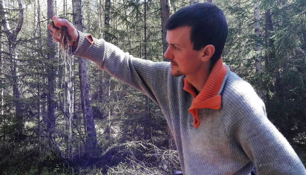 Erik Kagge vrir opp et stykke torvmose. Torvmose holder godt på vannet, og utsetter flommer. Dette vannet er ferdig filtrert, så det kan du drikke, sier Kagge Erik Kagge vrir opp et stykke torvmose. Torvmose holder godt på vannet, og utsetter flommer. Dette vannet er ferdig filtrert, så det kan du drikke, sier Kagge