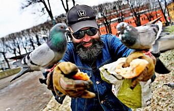Gamle Oslo SV vil innskrenke folks mulighet til å mate byduene. — Matingen begynner å bli et folkehelseproblem