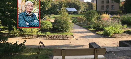 – Når kommer Linné-benken tilbake til Botanisk Hage? – Når kommer Linné-benken tilbake til Botanisk Hage?