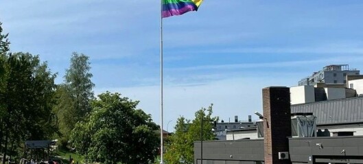 Pride-flagget ble stjålet. Da heiste Bøler skole opp et nytt. Men så ble også det Pride-flagget stjålet