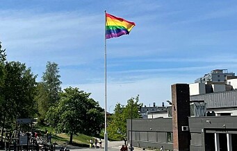 Byråd Rina Mariann Hansen: — Et angrep på prideflagget er et angrep på våre innbyggere