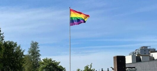 Byråd Rina Mariann Hansen: — Et angrep på prideflagget er et angrep på våre innbyggere Byråd Rina Mariann Hansen: — Et angrep på prideflagget er et angrep på våre innbyggere