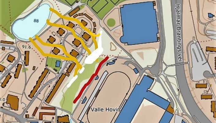 Den røde streken markerer vandringssperren, de gule er veiene salamanderne gjerne velger gjennom borettslaget. Salamanderhotellene blir plassert på de hvite feltene Den røde streken markerer vandringssperren, de gule er veiene salamanderne gjerne velger gjennom borettslaget. Salamanderhotellene blir plassert på de hvite feltene