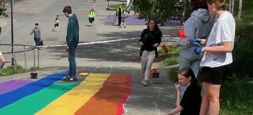 Da Britt sto og heiste Pride-flagget for fjerde gang, fikk hun ideen om regnbueveien