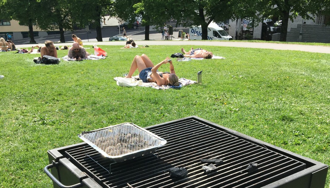 Det er nok en stund til det blir bikinivær, men de fastmonterte grillene kan brukes uansett hva du har på deg, og de står i parkene i hele byen hele året.
