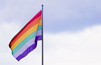 Natt til lørdag ble Pride-flagget på Bjøråsen skole på Romsås tatt ned og forsøkt tent på