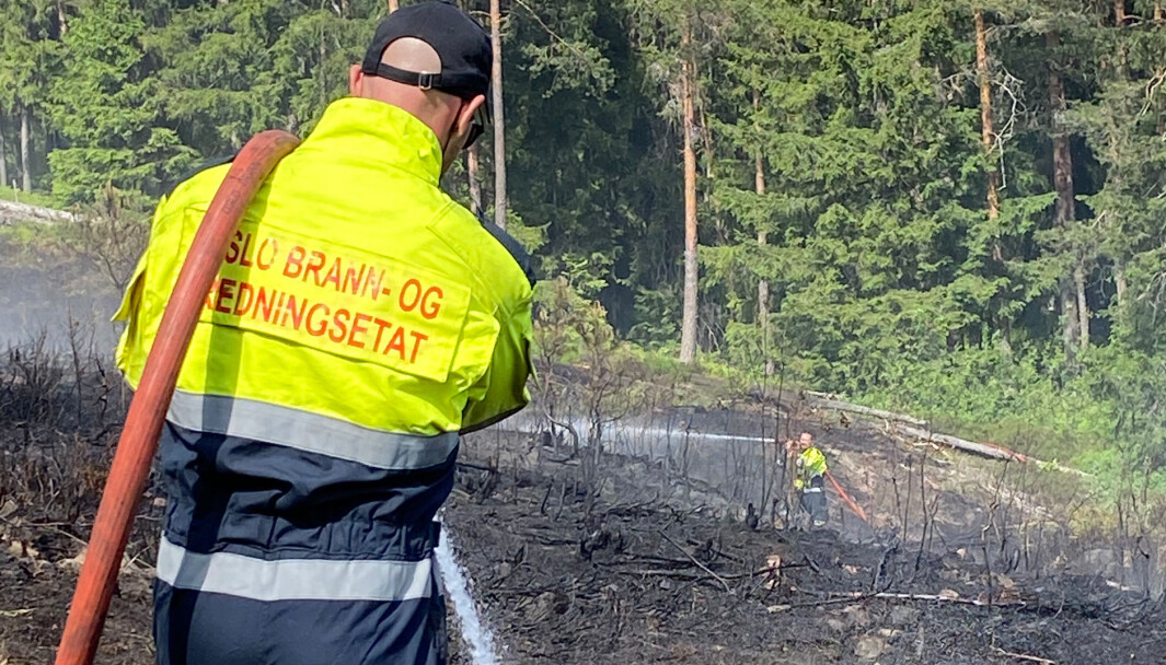 Brannen spredte seg raskt til et 400 til 500 kvadratmeter stort område. Brannen ble slukket i løpet av en og en halv time. 25 betjenter var involvert i slukningsarbeidet. Brannen spredte seg raskt til et 400 til 500 kvadratmeter stort område. Brannen ble slukket i løpet av en og en halv time. 25 betjenter var involvert i slukningsarbeidet.