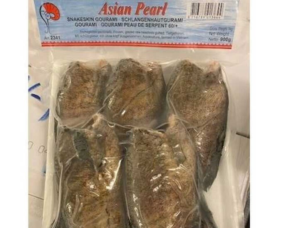 Slik ser frossenfisken ut. Mattilsynet opplyser at det er funnet salmonella i omlag 20 kg fisk solt i to butikker i Oslo og Molde. Slik ser frossenfisken ut. Mattilsynet opplyser at det er funnet salmonella i omlag 20 kg fisk solt i to butikker i Oslo og Molde.