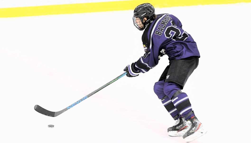 Supertalentet Leo Halmrast (18) bytter ut norsk hockey med svensk før neste sesong. Supertalentet Leo Halmrast (18) bytter ut norsk hockey med svensk før neste sesong.