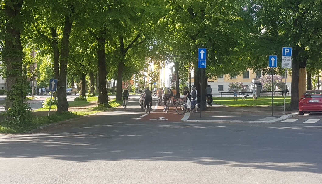 Børge A. Roums eget bilde fra Gyldenløves gate viser en gjeng på rundt 20 stykker som var på sykkeltur i gata i begynnelsen av juni. Noen barn leker med en hund på Arno Bergs plass. Børge A. Roums eget bilde fra Gyldenløves gate viser en gjeng på rundt 20 stykker som var på sykkeltur i gata i begynnelsen av juni. Noen barn leker med en hund på Arno Bergs plass.