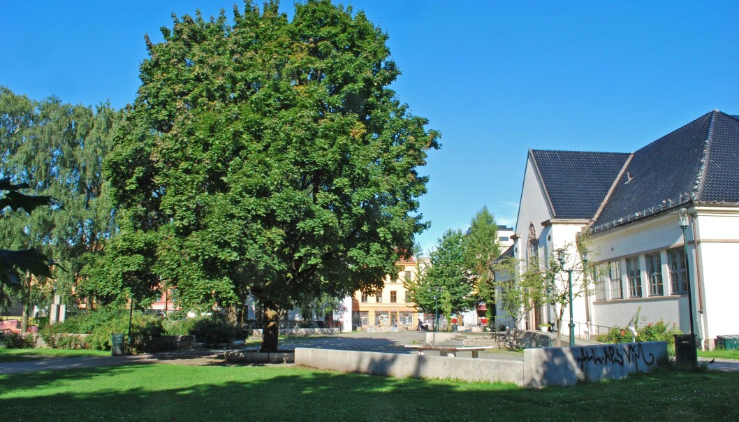 Mannen som ble truet på Schous plass var i følge med en annen mann. De fire-fem gjerningspersonene forsvant raskt fra stedet. Mannen som ble truet på Schous plass var i følge med en annen mann. De fire-fem gjerningspersonene forsvant raskt fra stedet.