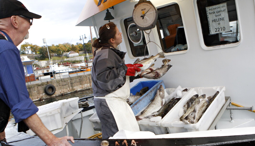 På Rådhusbrygga har folk kunnet kjøpe fersk fisk fra Oslofjorden. På Rådhusbrygga har folk kunnet kjøpe fersk fisk fra Oslofjorden.
