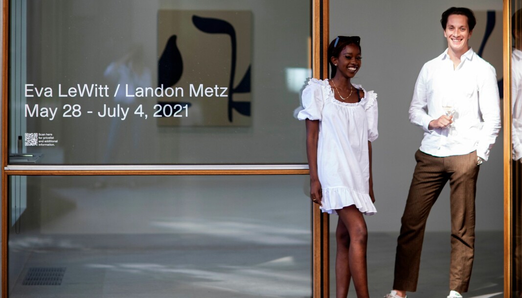Åpningsutstillingen på VI, VII inneholder skulpturer og malerier av de to amerikanske kunstnerne Landon Metz og Eva LeWitt.