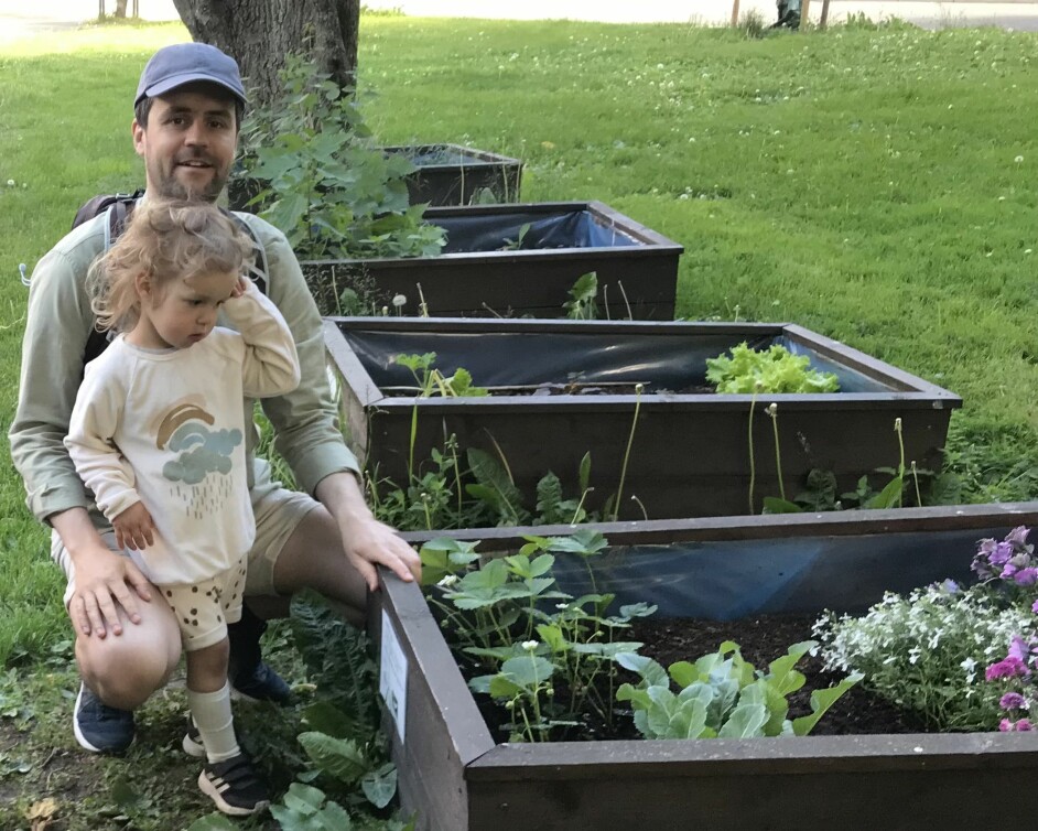 Martin Eike (37) og datteren Sigrid (2) kommer jevnlig sammen til den lille hagen sin ved Sagene kirke for å stelle blomstene, jordbærene og andre vekster.