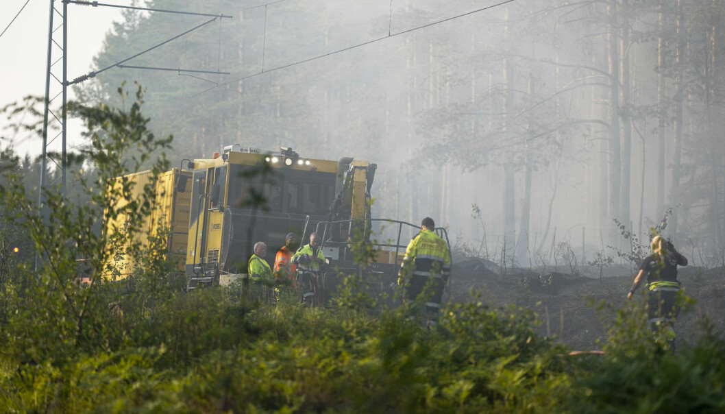 Brannvesenet jobber med å slukke en skogbrann langs Gjøvikbanen i Maridalen. Foto: Fredrik Hagen / NTB