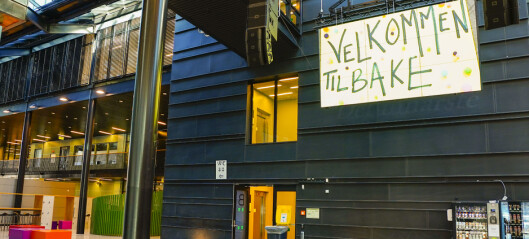 Massetestingen ved Oslo-skoler fortsetter fram mot høstferien