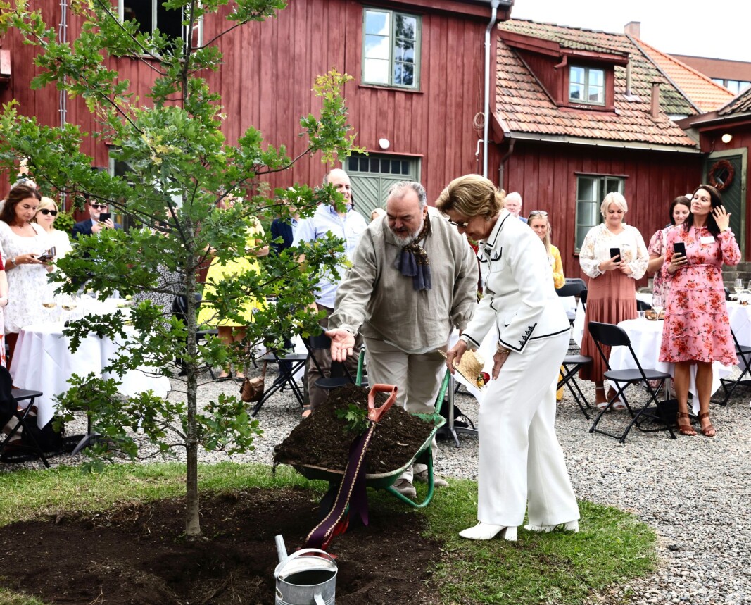 H.M. Dronning Sonja planter det nye tuntreet Dronningeika på Vestre Aker prestegård. H.M. Dronning Sonja planter det nye tuntreet Dronningeika på Vestre Aker prestegård.