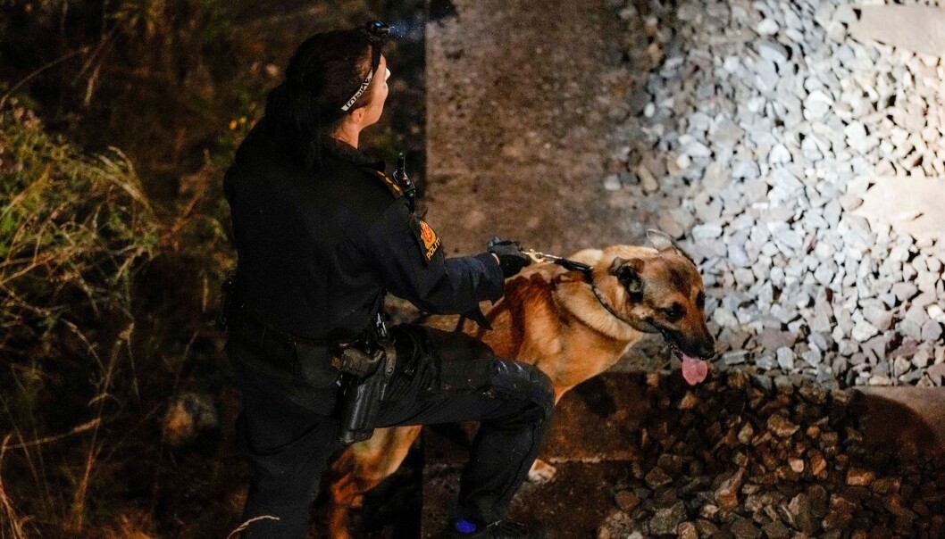 Politi med hund i søk etter spor og gjerningsperson etter skyting ved Brynseng mandag kveld. Politi med hund i søk etter spor og gjerningsperson etter skyting ved Brynseng mandag kveld.