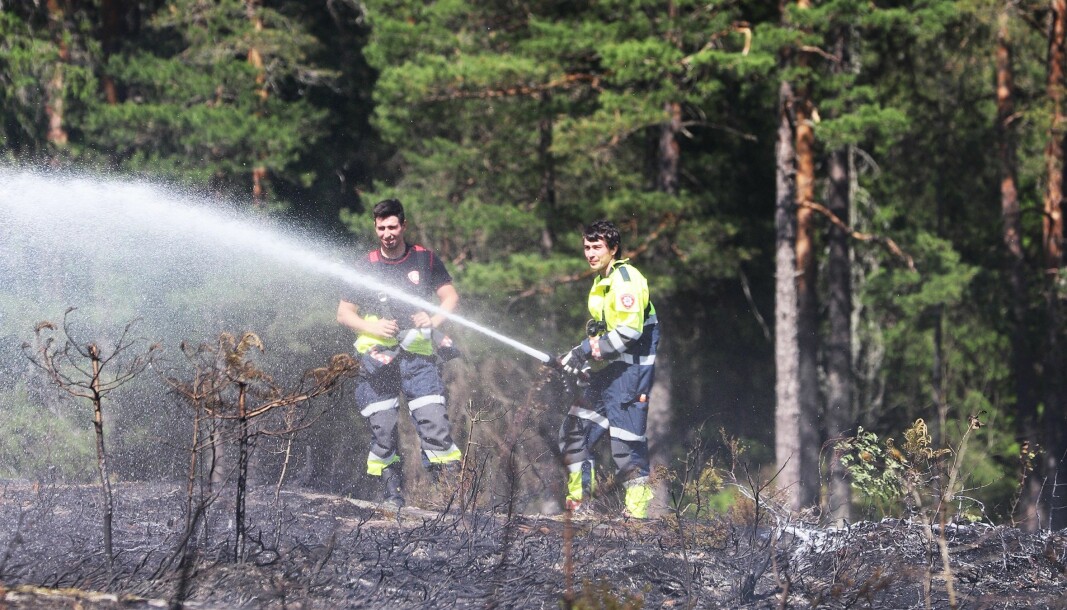 Her slukker brannmannskapene skogbrannen på Romsås i juni.