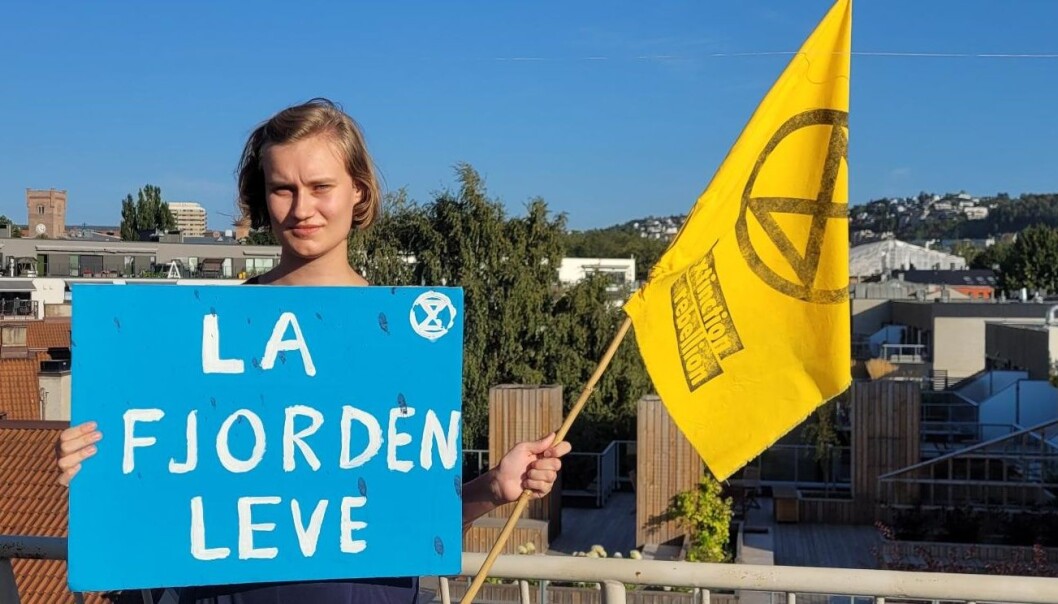Cornelia Reichmann med plakat mot kasting av gruveslam i Repparfjord i Hammerfest. Cornelia Reichmann med plakat mot kasting av gruveslam i Repparfjord i Hammerfest.
