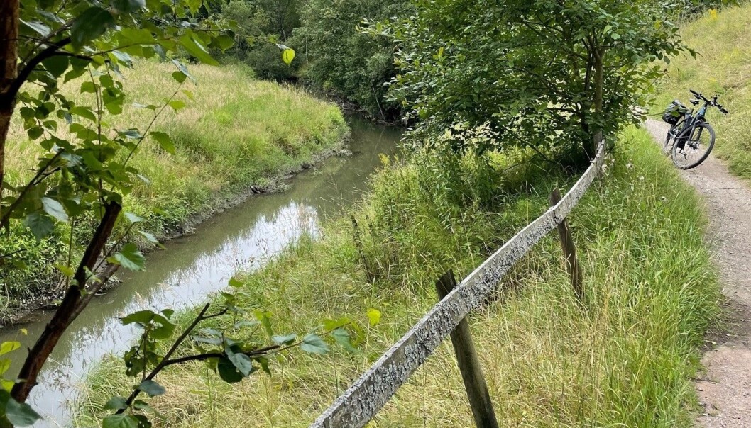 Grønt og frodig og tett på naturen langs Alnaelva. Grønt og frodig og tett på naturen langs Alnaelva.