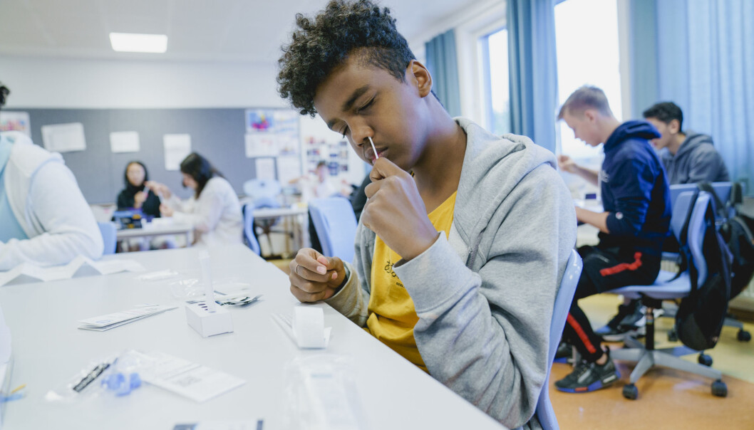 Imran Abdi Kedir (15) tar selvtesten i klasserommet på Apalløkka skole. I går var første dag med massetesting på alle ungdomsskoler og videregående skoler i Oslo. 20 000 elever i videregående og 20 000 elever på ungdomstrinnet skal nå teste seg to ganger i uken. Imran Abdi Kedir (15) tar selvtesten i klasserommet på Apalløkka skole. I går var første dag med massetesting på alle ungdomsskoler og videregående skoler i Oslo. 20 000 elever i videregående og 20 000 elever på ungdomstrinnet skal nå teste seg to ganger i uken.