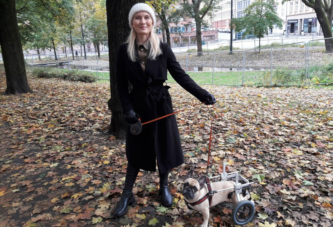 Rullestolen brukes under de tre daglige lufteturene. Folk kommer ofte bort og spør om hva som har skjedd med hunden min, sier Charlotte Greaker. Rullestolen brukes under de tre daglige lufteturene. Folk kommer ofte bort og spør om hva som har skjedd med hunden min, sier Charlotte Greaker.
