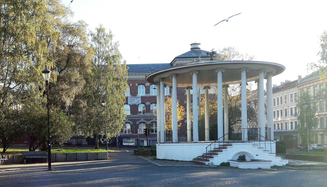 Det var her i Birkelunden personen i 20-årene skal ha blitt skutt. Det var her i Birkelunden personen i 20-årene skal ha blitt skutt.