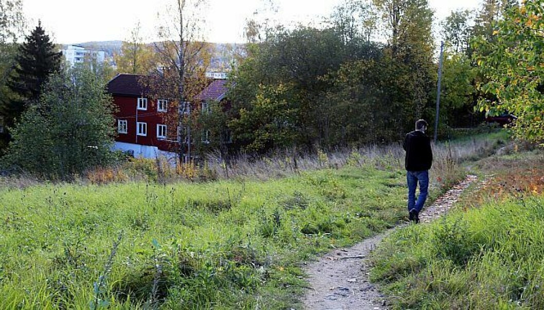 Det planlagte smådyrsenteret skal plasseres på denne tomten nær Trondheimsveien ved Kalbakken. Turstier krysser tomten, som grenser til Alnaelva. En nabogruppe sier nei til planene.