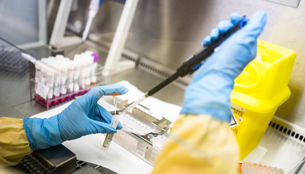 Testing, isolasjon, smittesporing og karantenesetting for personer som kanskje kan ha omikron-varianten av koronaviruset, skjer som om de har den. Testing, isolasjon, smittesporing og karantenesetting for personer som kanskje kan ha omikron-varianten av koronaviruset, skjer som om de har den.
