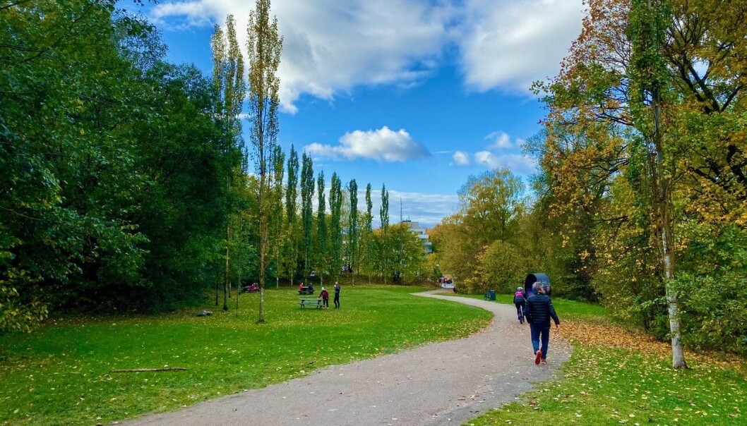 Svartdalsparken, siste hånd på verket. Svartdalsparken, siste hånd på verket.