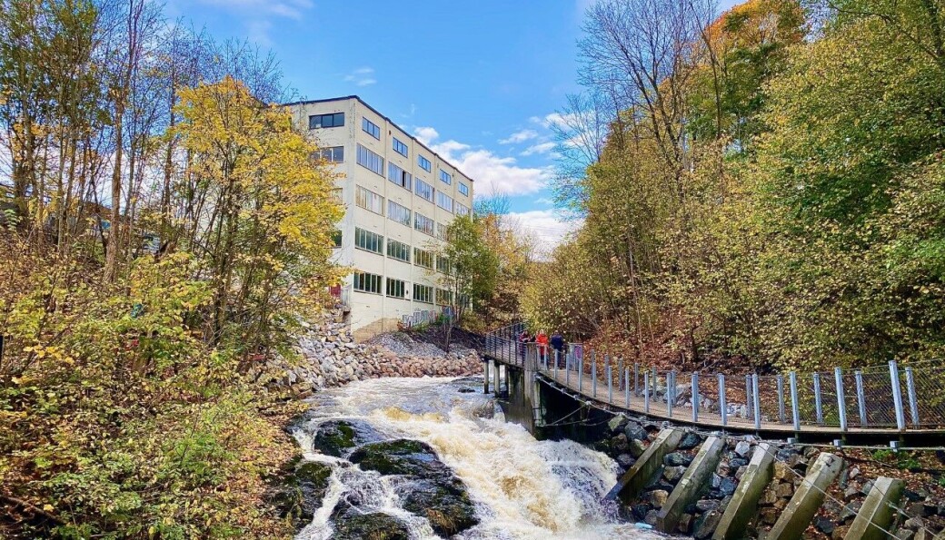 Det suser og bruser under brua. Det suser og bruser under brua.