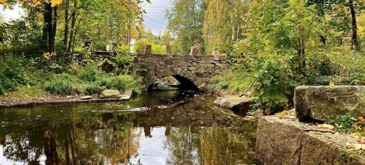 Bli med på en vakker vandring langs Alnaelva – Oslos lengste elveperle