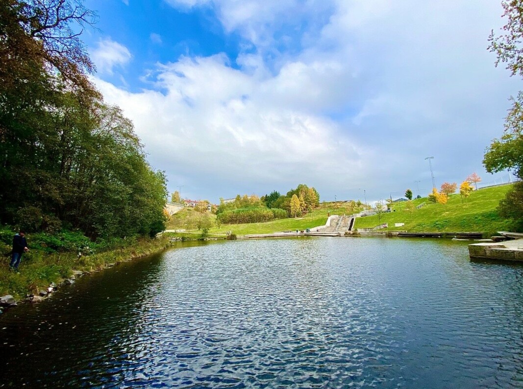 Idyll ved Groruddammen. Og her får du til og med fisk! Idyll ved Groruddammen. Og her får du til og med fisk!