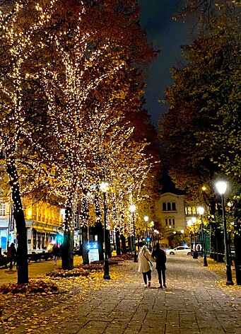 Nesten 130 år etter at gatebelysningen kom pyntes Karl Johan også med lyslenker. Nesten 130 år etter at gatebelysningen kom pyntes Karl Johan også med lyslenker.