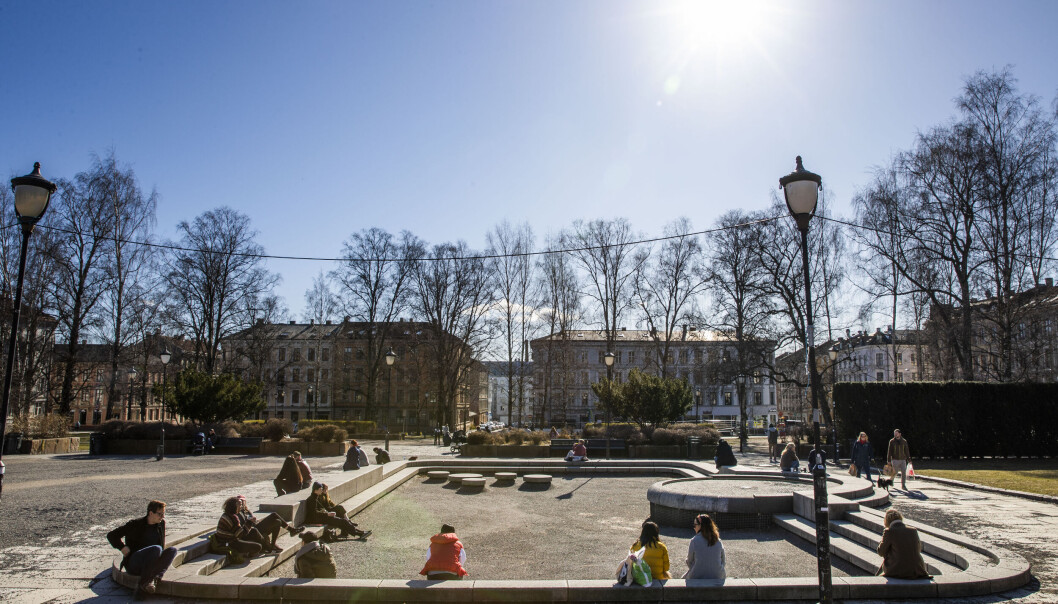 Naboer ved Birkelunden har i lengre tid samarbeidet med politiet for å få bukt med dopsalg og uønsket aktivitet i parken. Naboer ved Birkelunden har i lengre tid samarbeidet med politiet for å få bukt med dopsalg og uønsket aktivitet i parken.