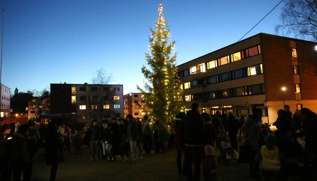 Oslo medisinske pikekor synger advent inn når julegrana tennes på Kringsjå studentby. Click to add image caption