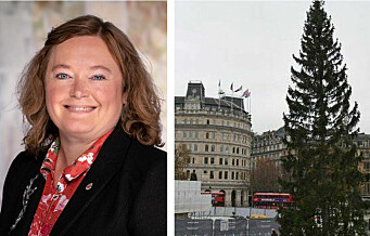 Oslo Høyre vil kjøpe nytt juletre til London: – Ser helt begredelig ut