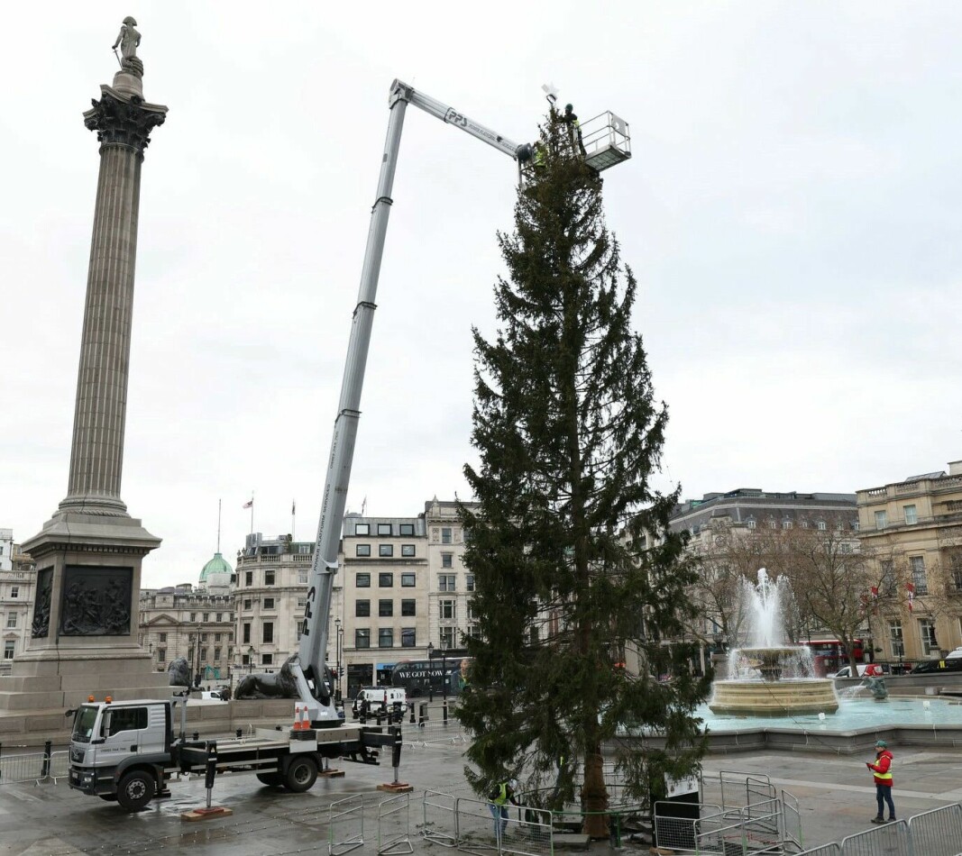 — I år har Oslos juletre til London vakt spesielt sterke negative reaksjoner i London, mente Høyre i bystyret.
