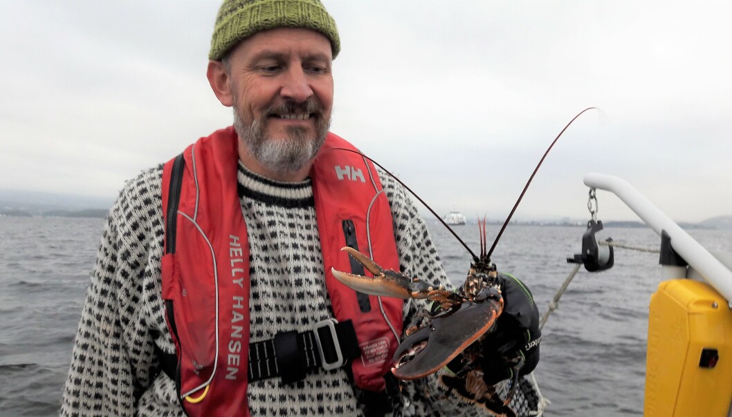 Hummeren har en viktig jobb som renovasjonsarbeider i fjorden, men er sårbar for overfiske. Her viser Dag Reynolds fram en hummer fra Nesoddens fredningsområde Hummeren har en viktig jobb som renovasjonsarbeider i fjorden, men er sårbar for overfiske. Her viser Dag Reynolds fram en hummer fra Nesoddens fredningsområde