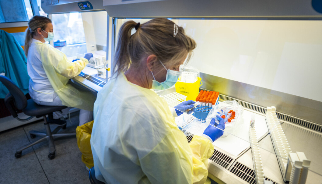 Pandemilabben på Ullevål sykehus er landets største. Her jobber et titall labmedarbeidere med å analysere tusenvis av koronaprøver fra store deler av Oslo og østlandsområdet hver eneste dag.