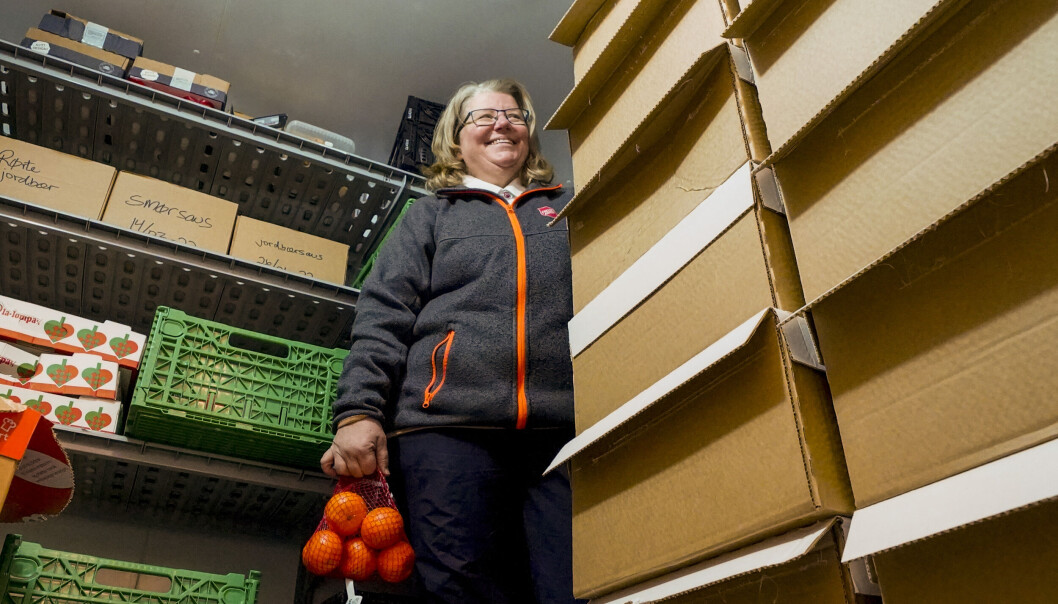 Stablene med matkasser donert av lokale restauranter er like høye som Irene Mathisen, leder ved Frelsesarmeens distribusjonslager på Grünerløkka. Stablene med matkasser donert av lokale restauranter er like høye som Irene Mathisen, leder ved Frelsesarmeens distribusjonslager på Grünerløkka.