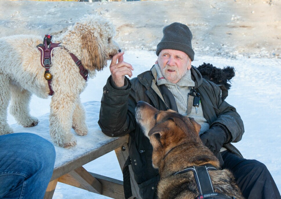 Hundene elsker Arne og godbitene han har med. I 40 år har han vært på hundejordet i Frognerparken og vil ikke flytte til det nye jordet på den andre siden av parken.